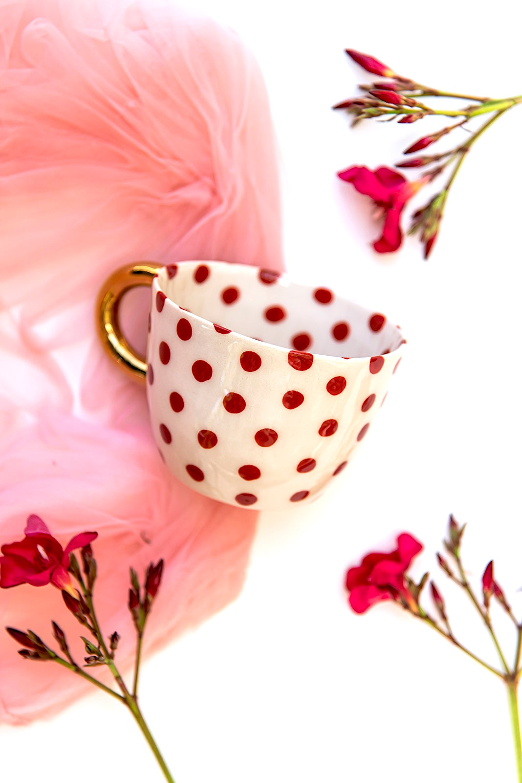RED Chia Cup No.6