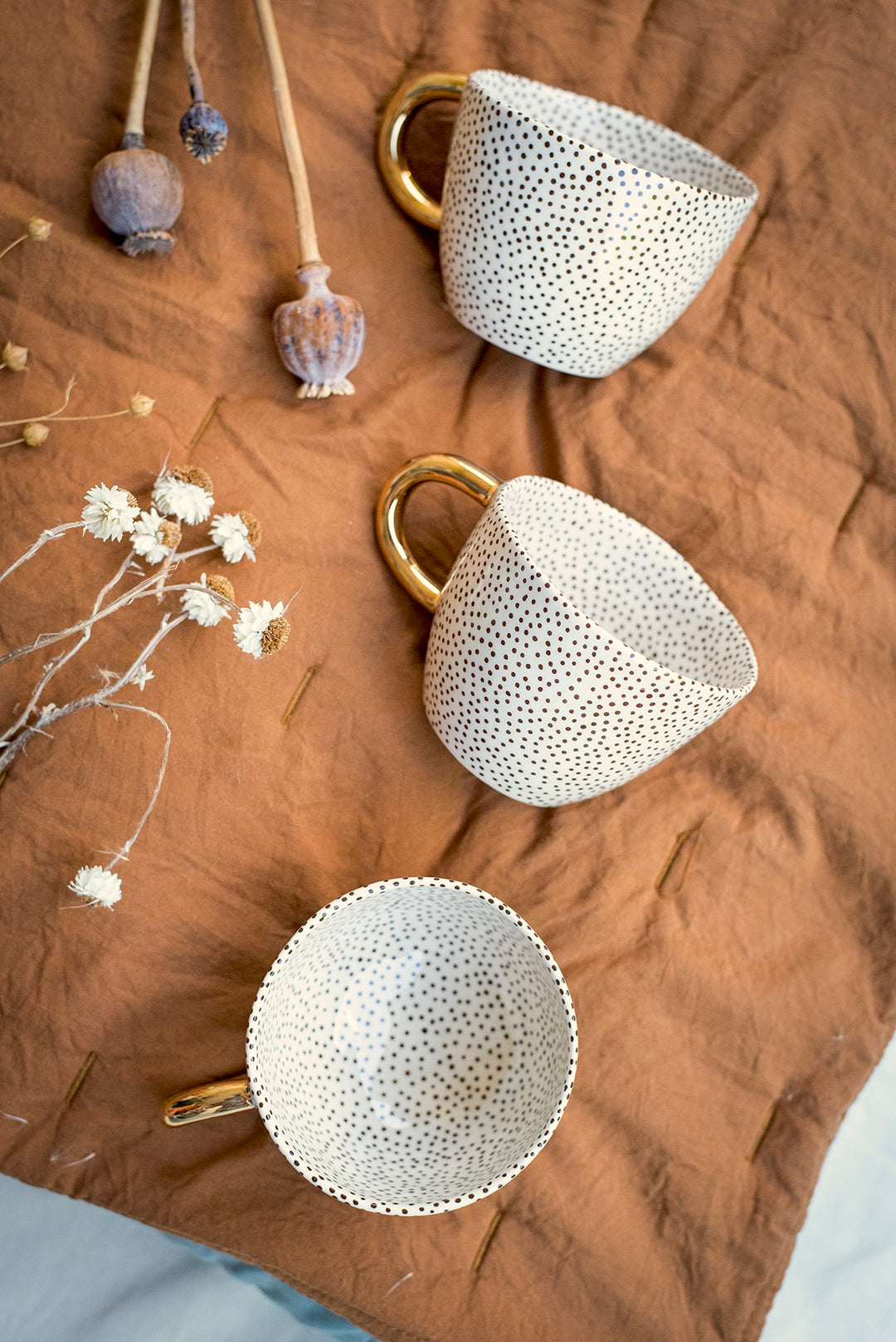BROWN Chia Cup No.9